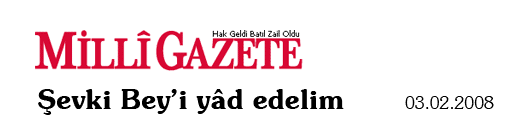 3 ?ubat 2008 Milli Gazete, k?eyaz?s?