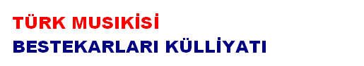 turkmusikisikulliyati.com